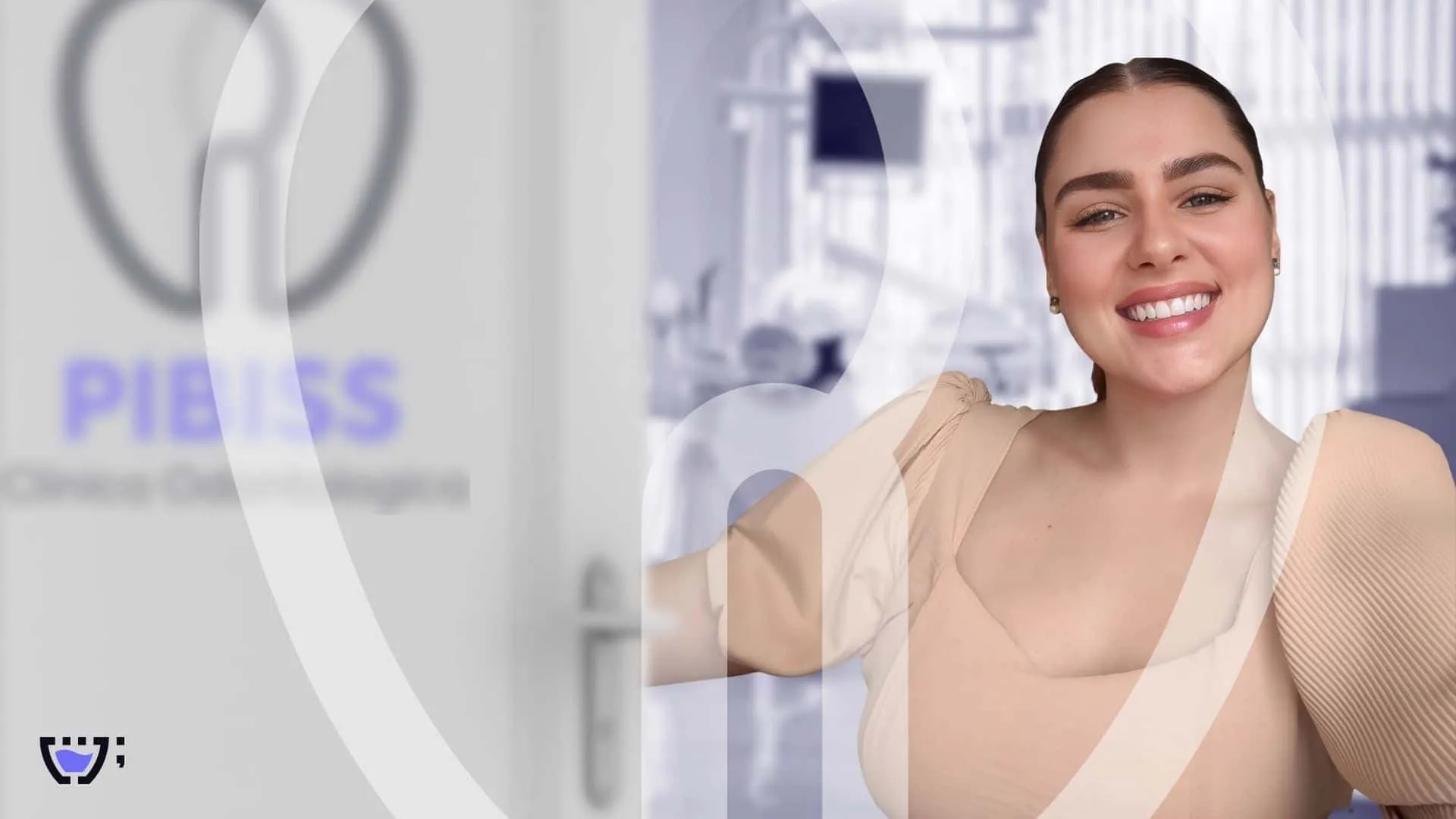 Brandbook pibiss
