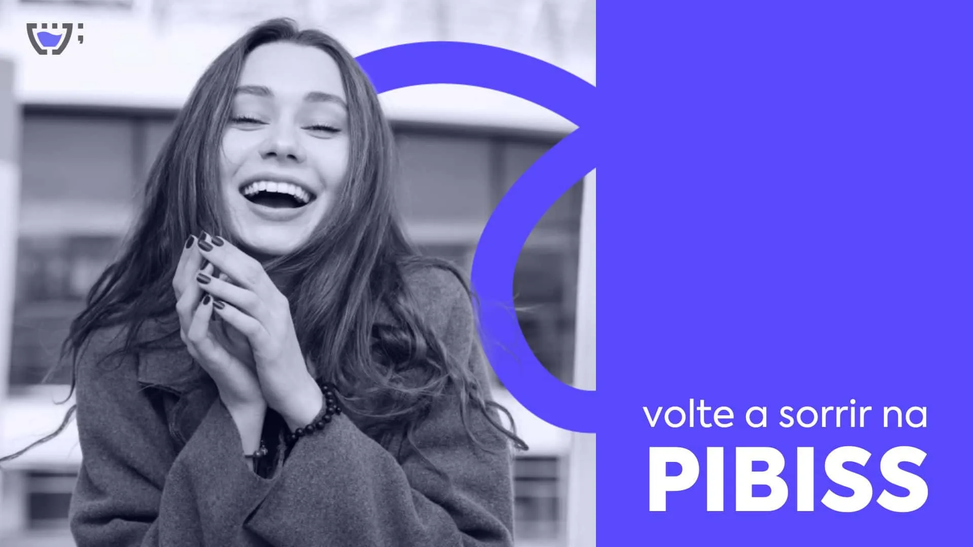 Brandbook pibiss