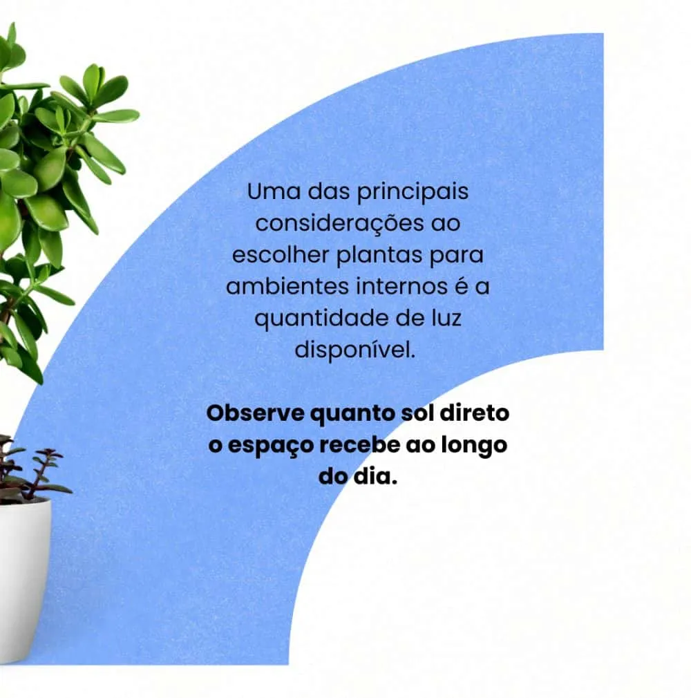 Post da Santa Sé