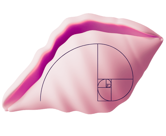 Ícone da Proporção Áurea da Cupcode: uma concha do mar rosa em 3D, com o desenho da proporção áurea destacado, simbolizando a perfeição natural e a excelência em design adotada pela Cupcode em seus projetos.