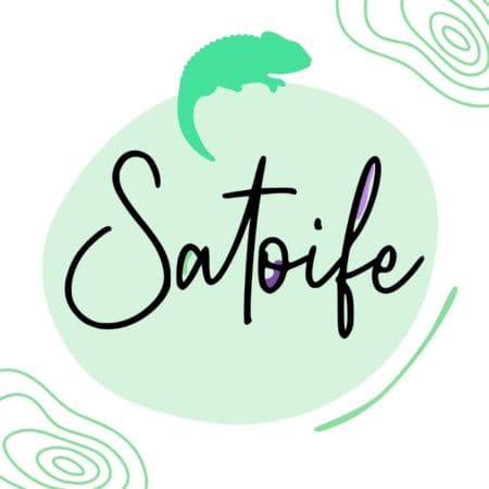 Logotipo da Satoife fundo verde com a silhueta de um camaleão em fundos coloridos, representando a adaptabilidade e a capacidade da empresa de se destacar no setor de recrutamento internacional.