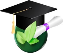 um globo verde com um certificado ao lado com um chapeu de formatura em cima